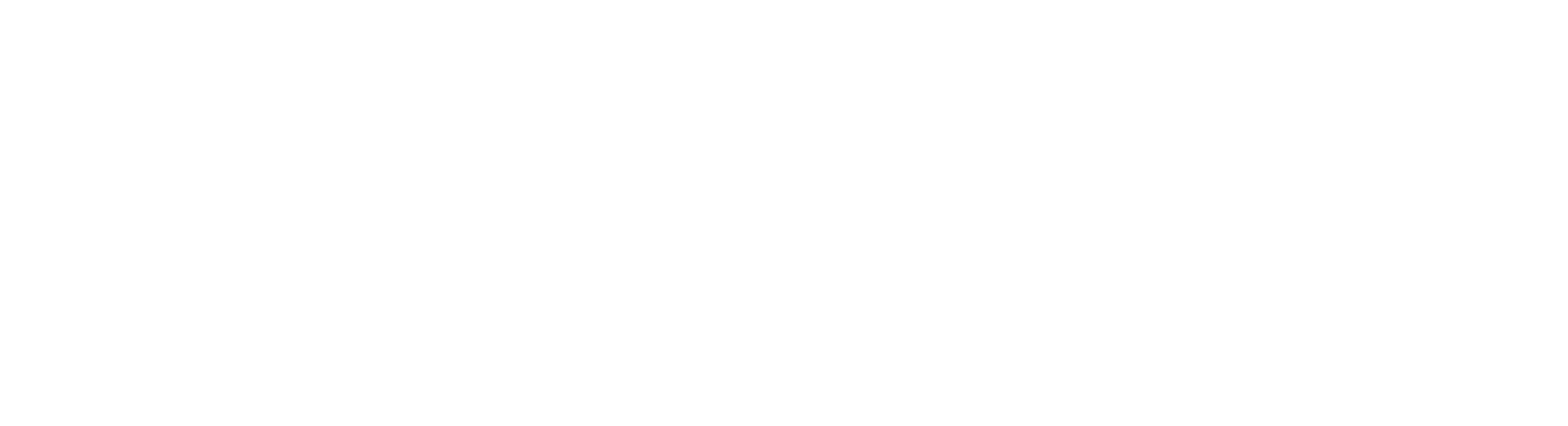Shine Logo