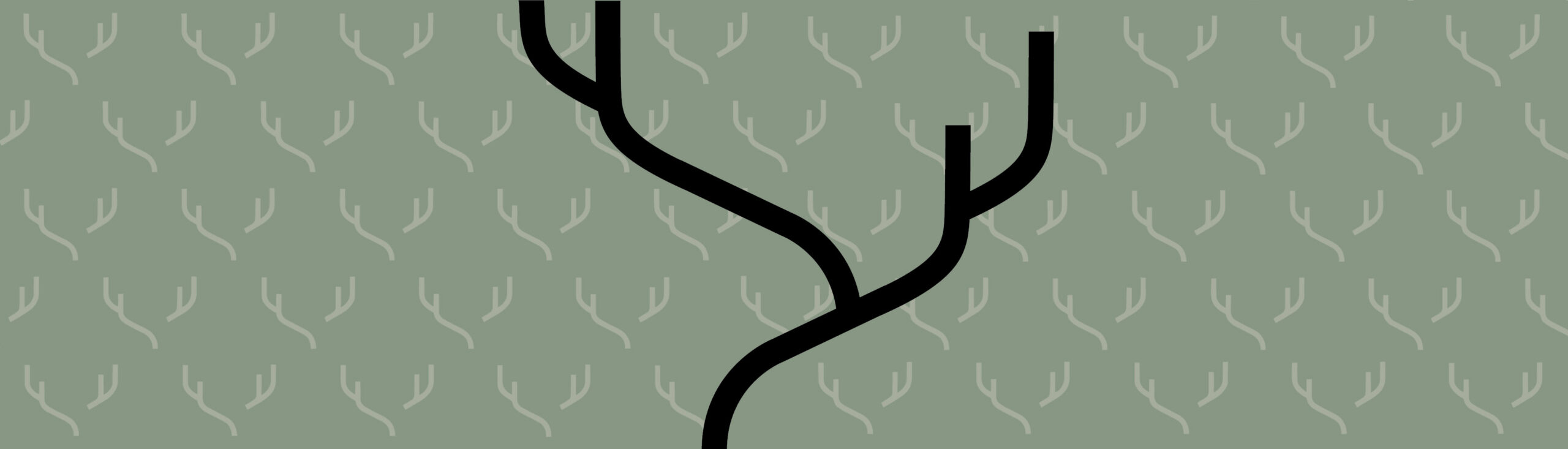 A Q&A on Our Brand Evolution